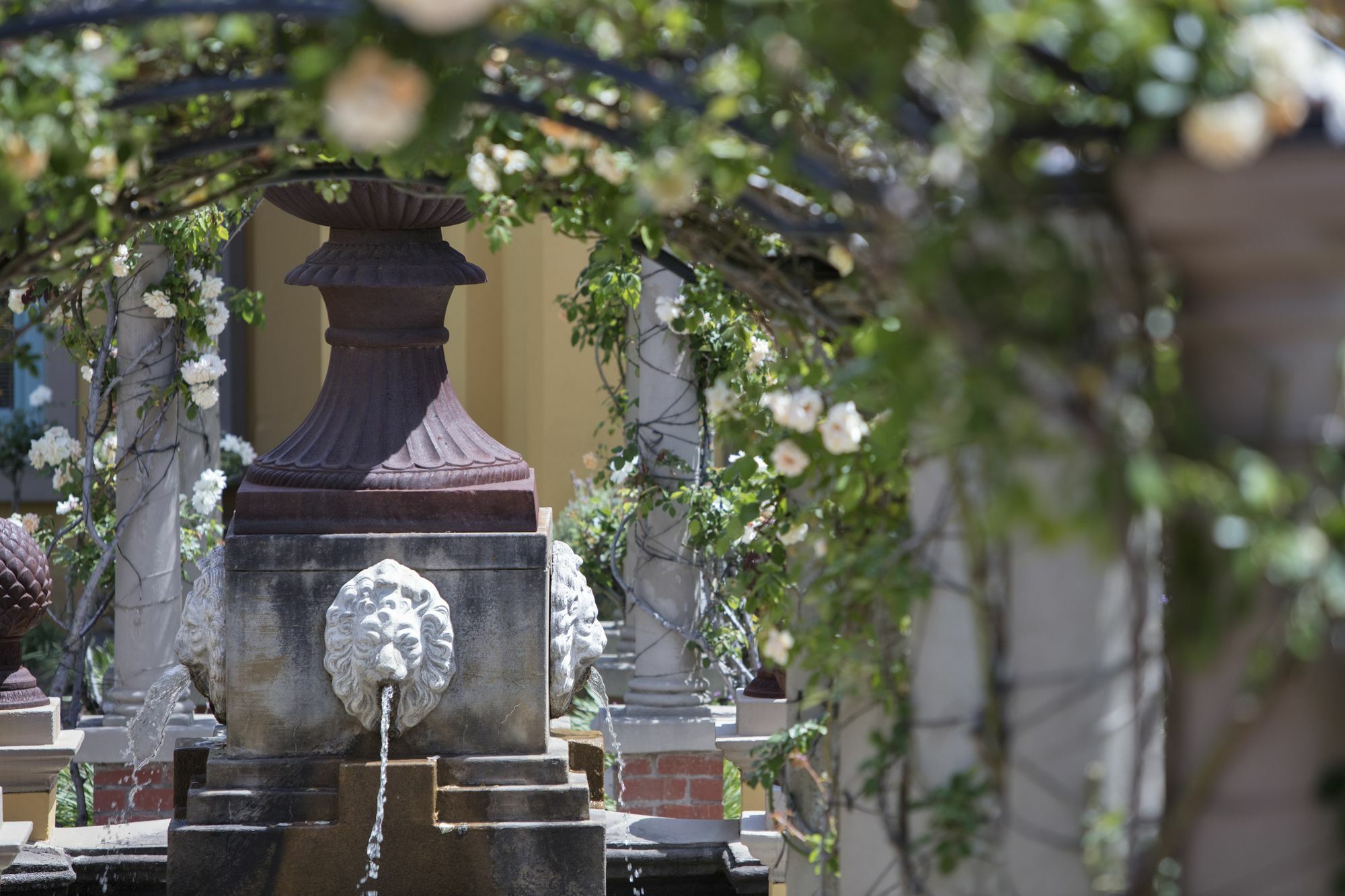 Franschhoek Country House & Villas Екстер'єр фото